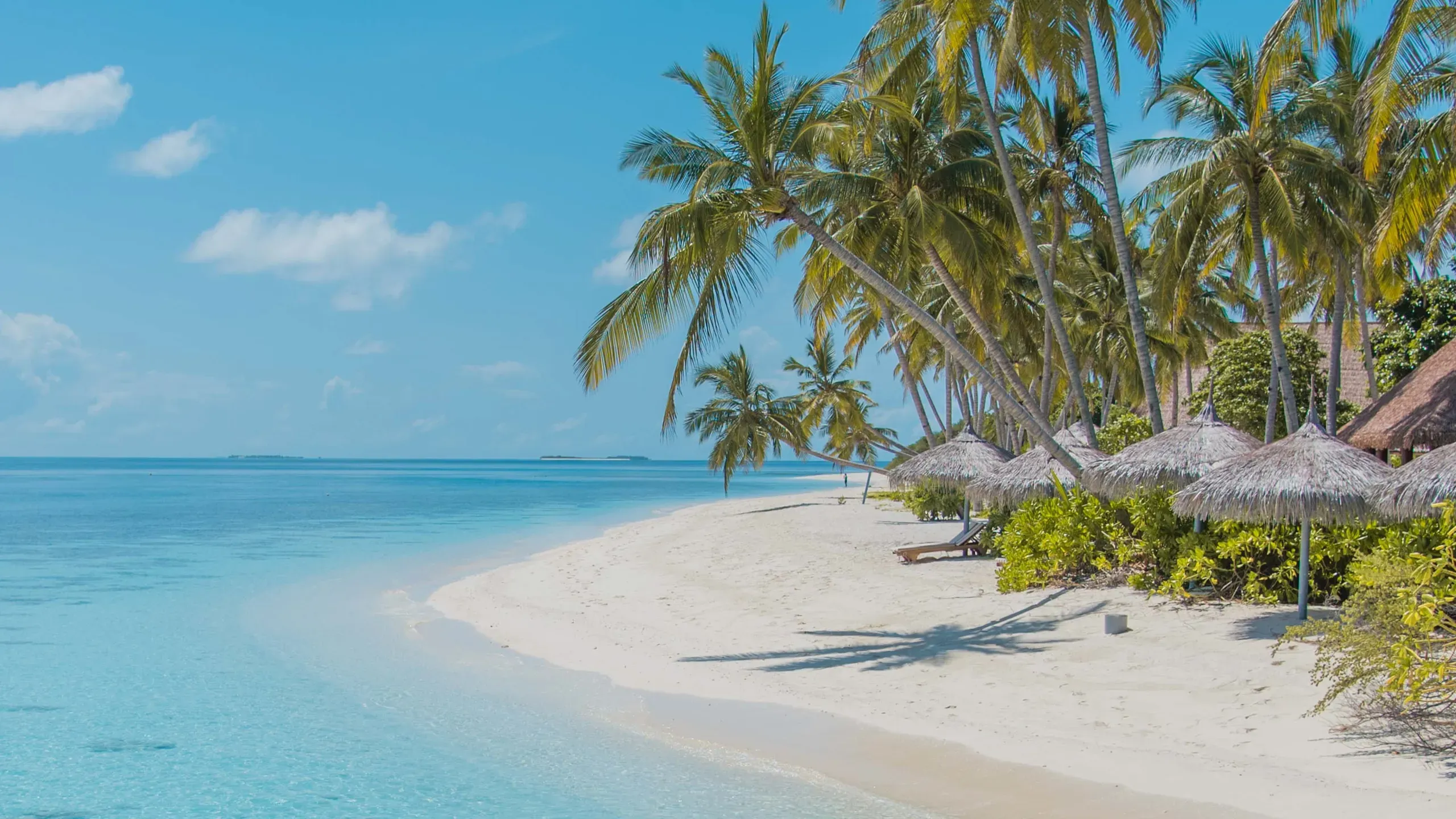 Voyage Plage & soleil